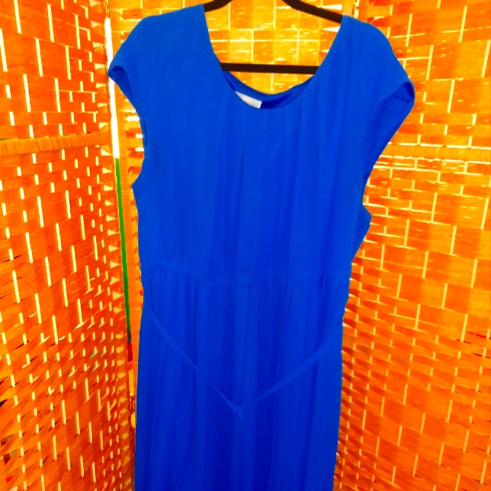 Plus size Catherine's women's Dress Blue
